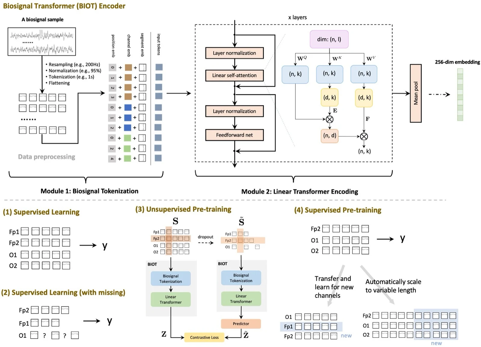 BIOT tokenizes biosignals and supports supervised and pre-training settings